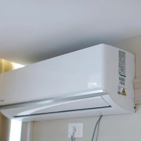 Miku -outstanding At Taiwan Tirana