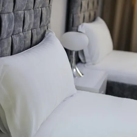 Miku -outstanding At Taiwan Tirana