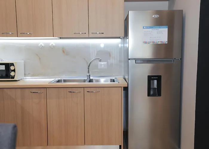 Miku -outstanding At Taiwan Tirana